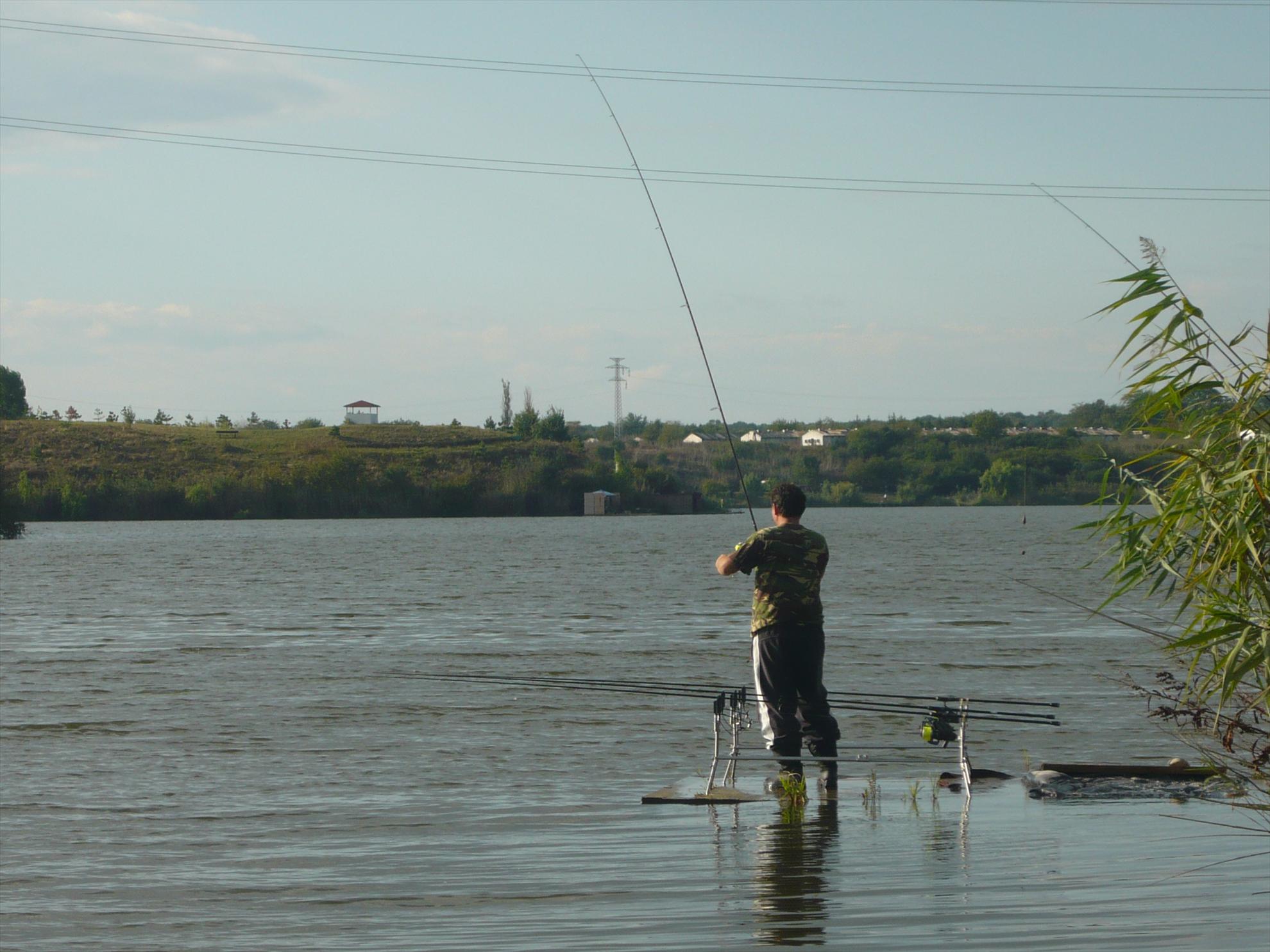 Best-2010 - p1020561.JPG